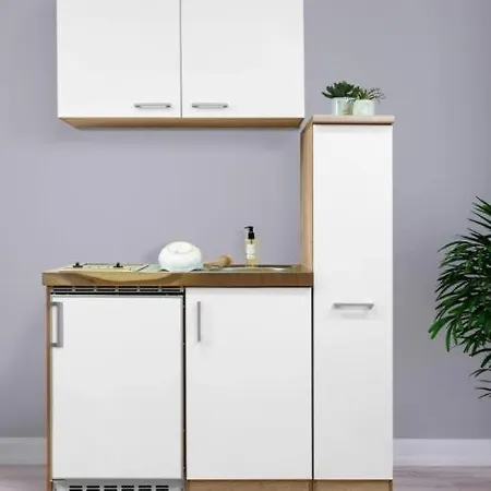 Apartment Schupfer Aigen im Ennstal